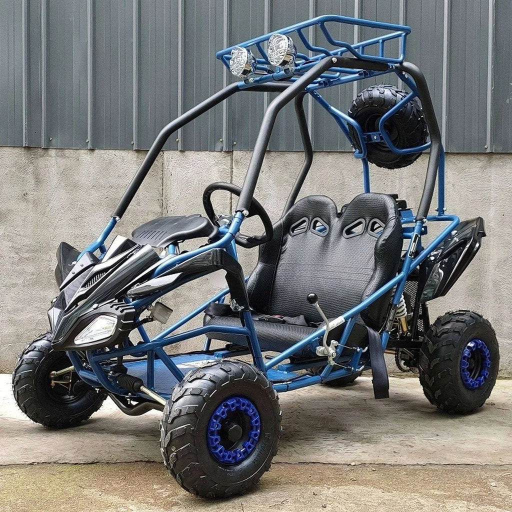 DongFang 125cc Kids Go Karts Type-GTS image 1