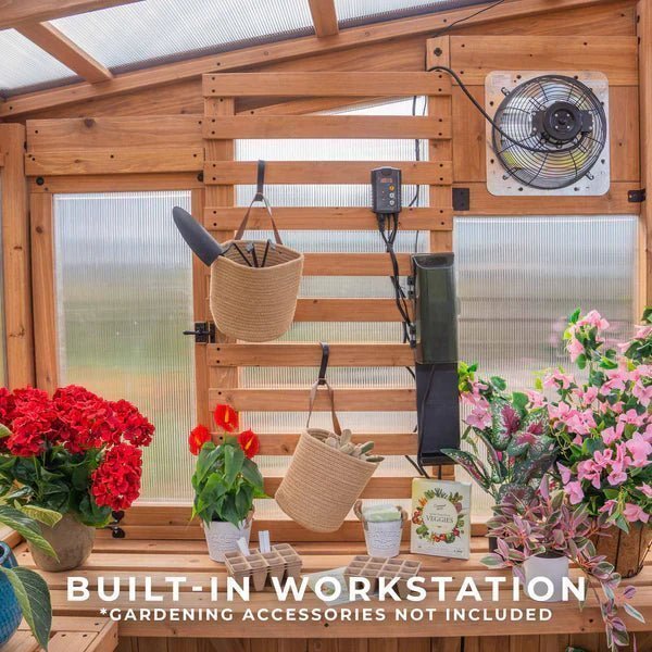 9×6 Willow Greenhouse image 16
