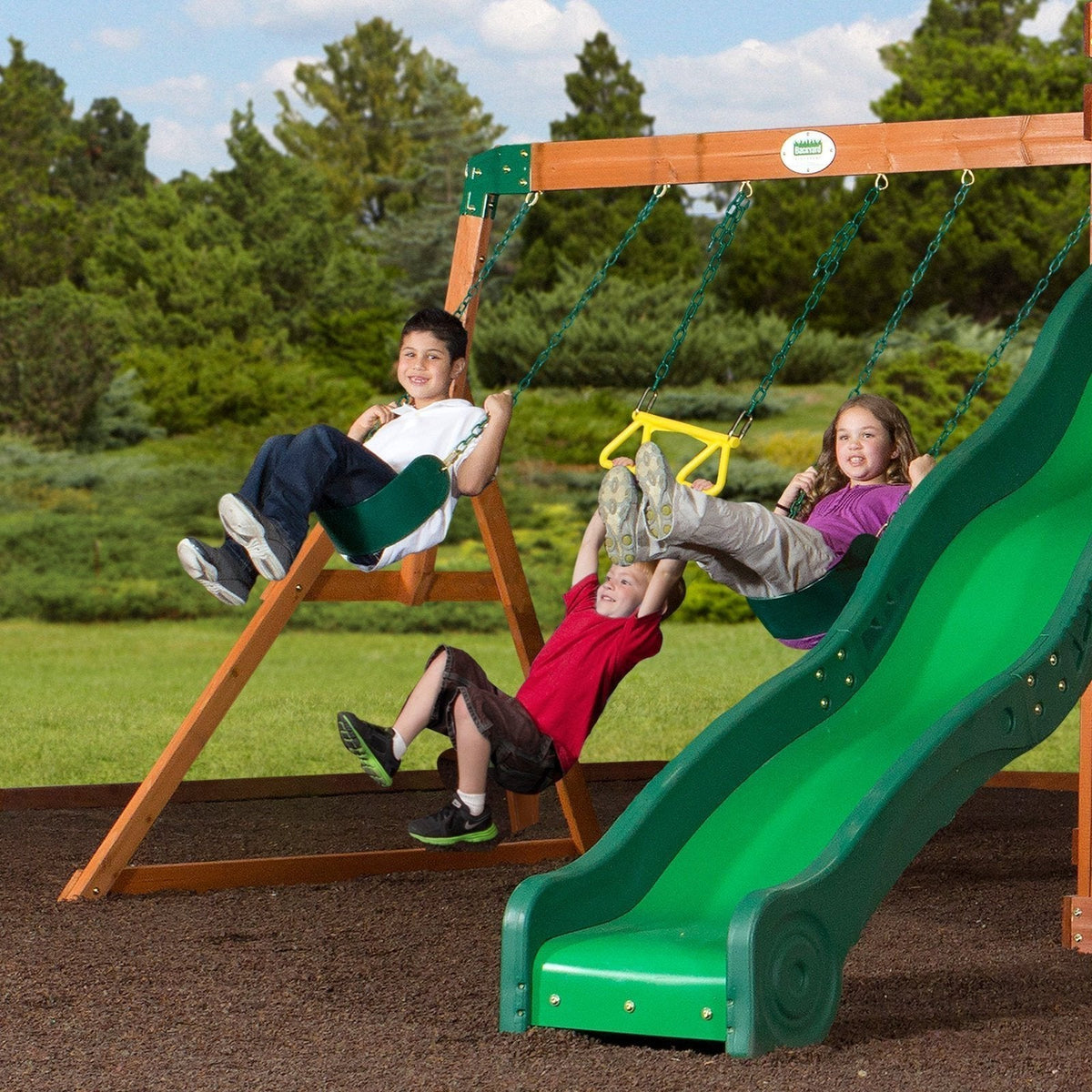 Shenandoah Swing Set image 3
