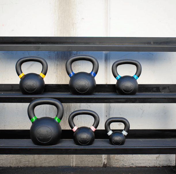 Muscle D Intermediate Fitness Kit image 4