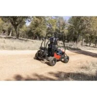 Coleman Powersports GK100 One-Seater Go Karts. image 4
