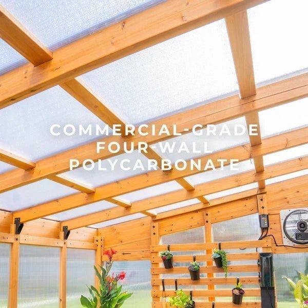 9×6 Willow Greenhouse image 7