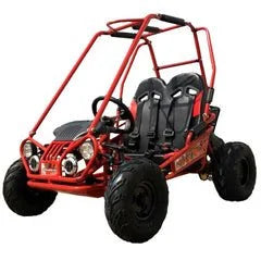 Trailmaster Mini XRX+ 2- Seater GO-KART EAGLE SERIES 163cc Blues. image 4