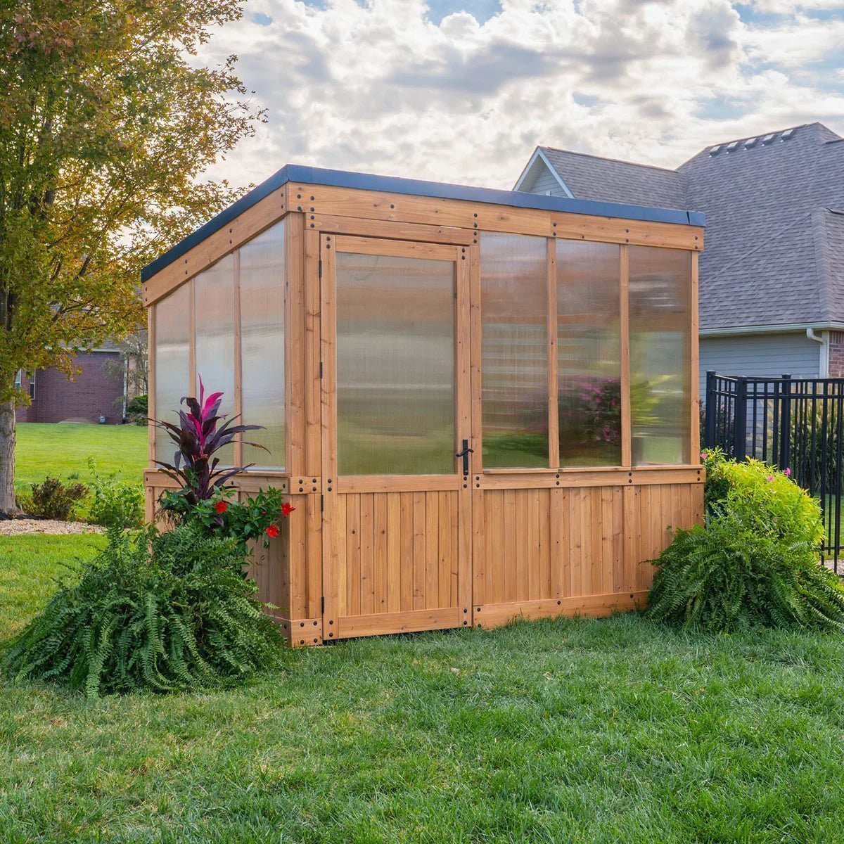 9×6 Willow Greenhouse image 26