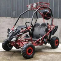 DongFang 125cc Kids Go Karts Type-GTS image 2