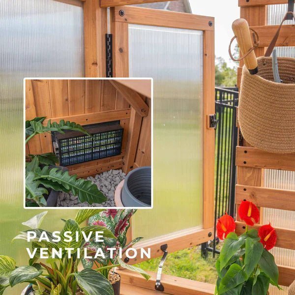 9×6 Willow Greenhouse image 11