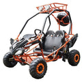 DongFang 125cc Kids Go Karts Type-GTS image 0